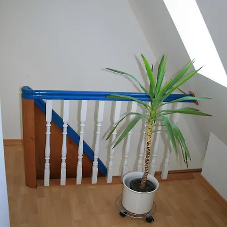 Fachwerkferienhaus Helmbrecht Goslar Eksteriør billede